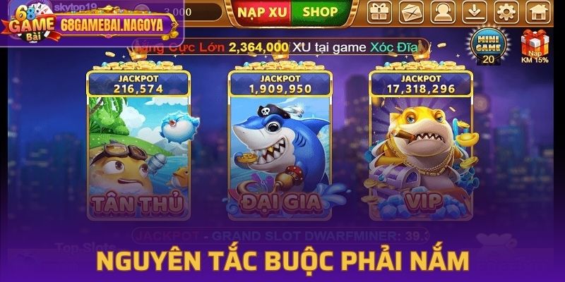 Các nguyên tắc quan trọng cần nắm